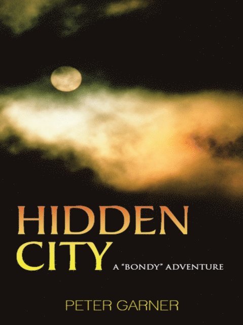 Peter Garner - Hidden City, E-bok