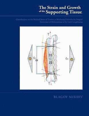 Strain and Growth of the Supporting Tissues