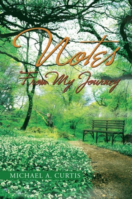 Michael A. Curtis - Notes from My Journey, E-bok