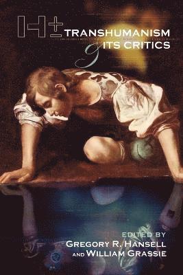 Gregory R Hansell and William Grassie - H+/-, Häftad