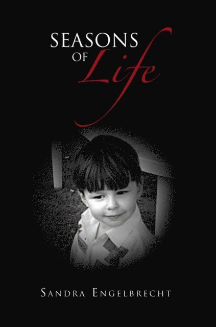 Sandra Engelbrecht - Seasons of Life, E-bok