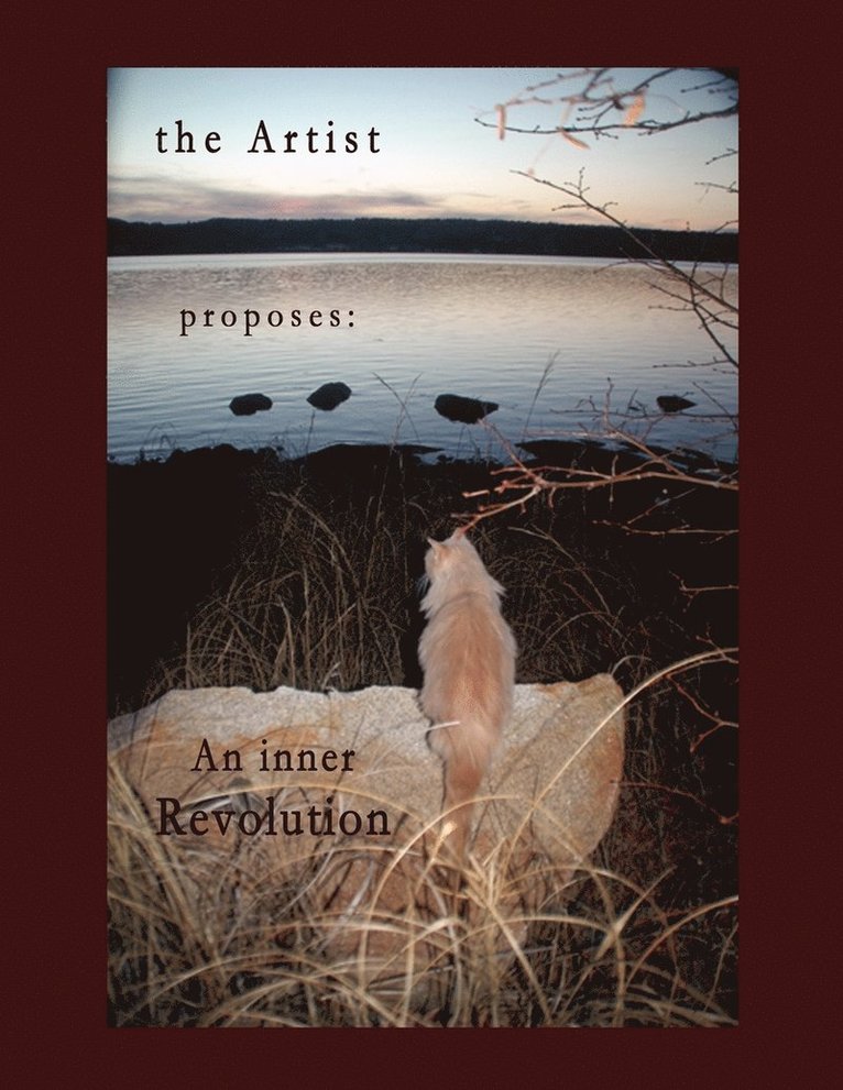 Sargeant - Artist proposes, Häftad