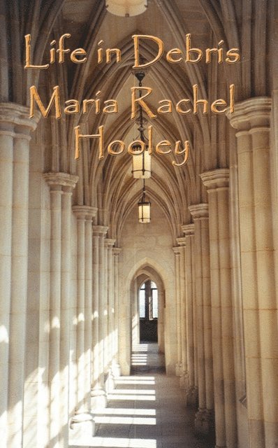 Maria Rachel Hooley - Life In Debris, E-bok