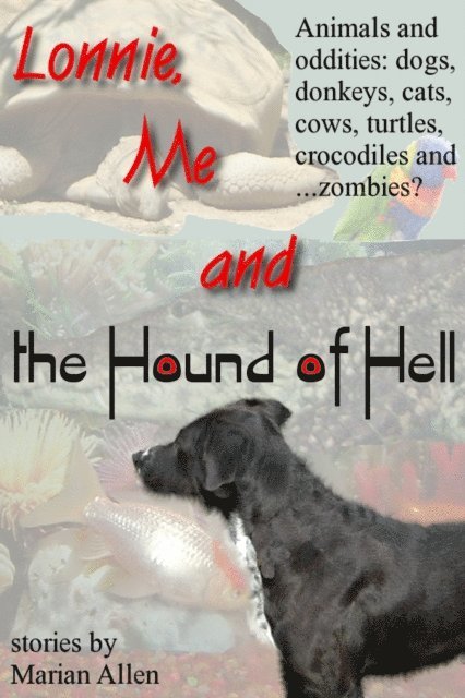 Marian Allen - Lonnie, Me and the Hound of Hell, E-bok