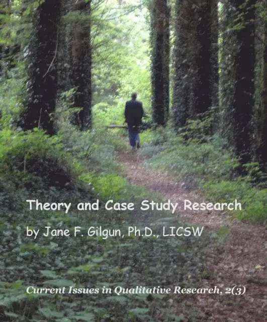 Jane Gilgun - Theory and Case Study Research, E-bok. Tillgänglighet: Lägg i varukorg