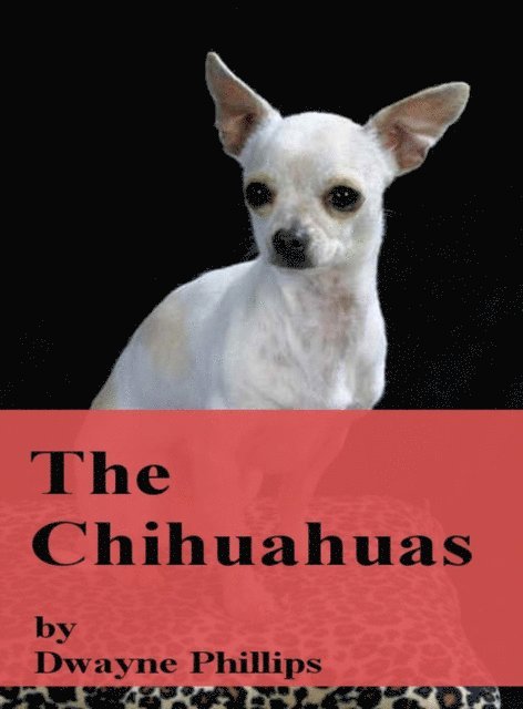 Chihuahuas