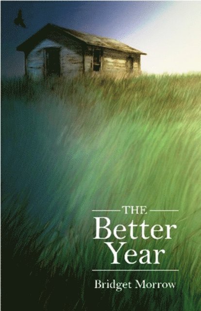 Bridget Morrow - Better Year, E-bok