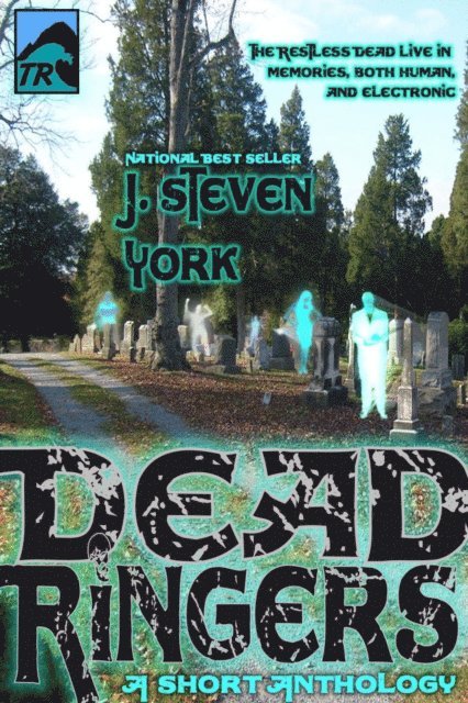 J. Steven York - DeadRingers, E-bok