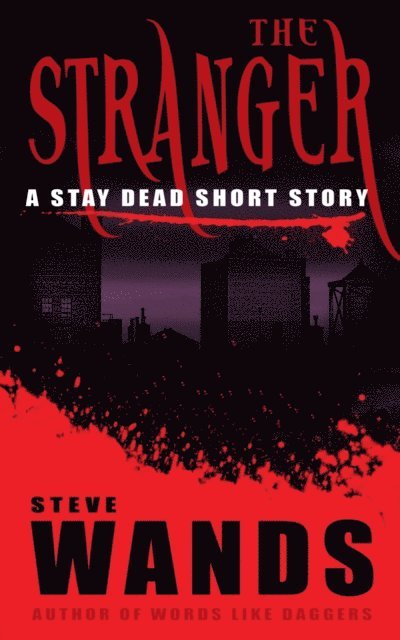Steve Wands - Stranger, E-bok