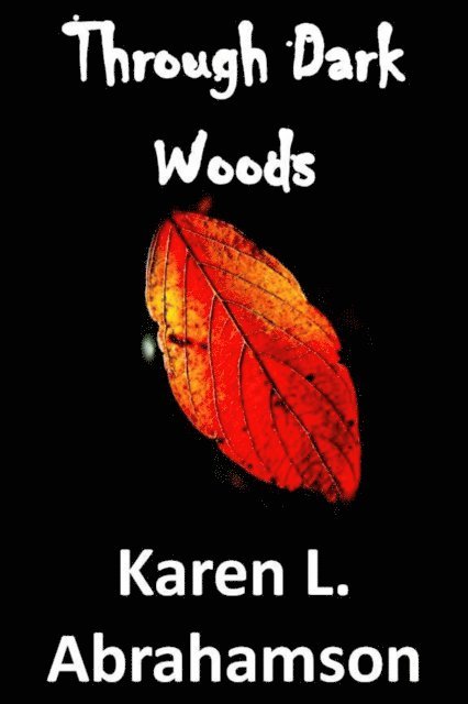 Karen L. Abrahamson - Through Dark Woods, E-bok