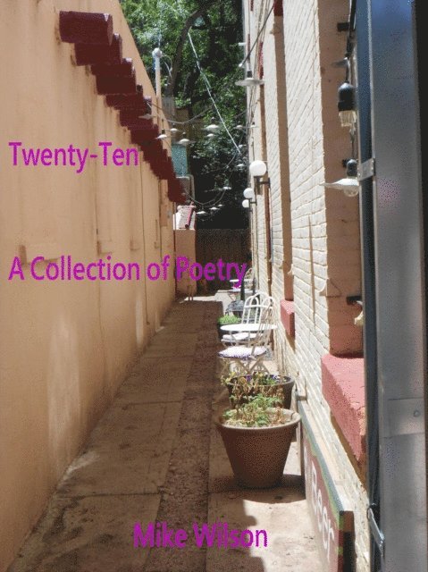 Mike Wilson - Twenty-Ten, E-bok