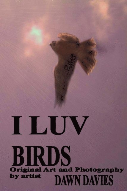 Dawn B Davies - I Luv Birds, E-bok. Tillgänglighet: Lägg i varukorg