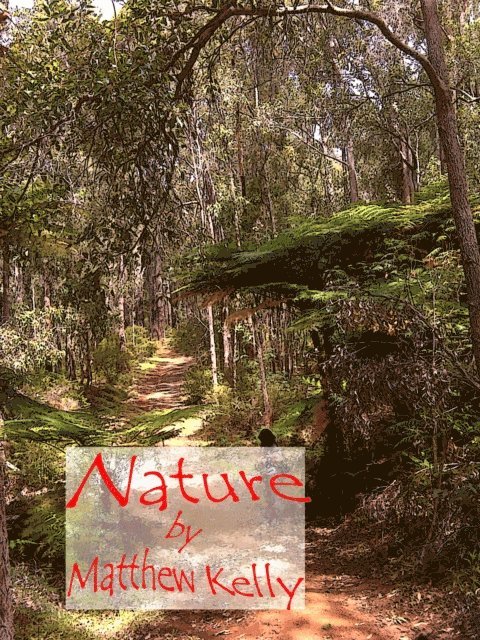 Matthew Kelly - Nature, E-bok