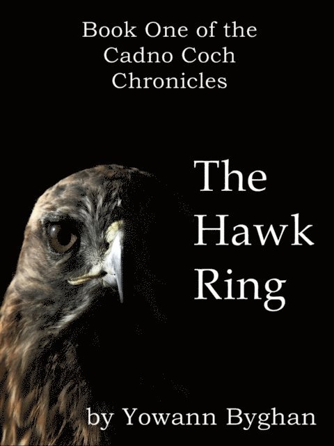 Yowann Byghan - Hawk Ring, E-bok
