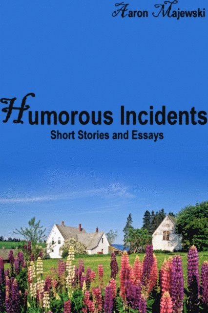 Aaron Majewski - Humorous Incidents: Short Stories and Essays, E-bok