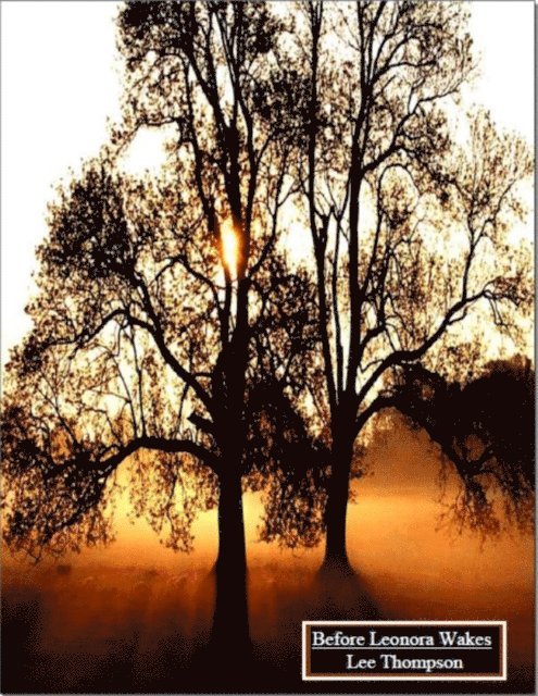 Lee Thompson - Before Leonora Wakes, E-bok