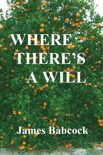 James Babcock - Where There's a Will: Who Poisoned Emily?, E-bok. Tillgänglighet: Lägg i varukorg