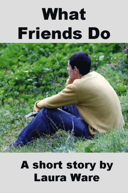 Laura Ware - What Friends Do, E-bok