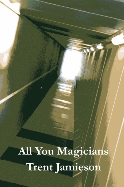 Trent Jamieson - All You Magicians, E-bok