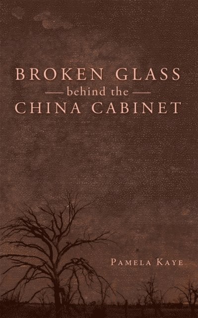 Pamela Kaye - Broken Glass Behind the China Cabinet, E-bok