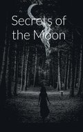 Secrets of the Moon (&#45804;&#51032; &#48708;&#48128;)