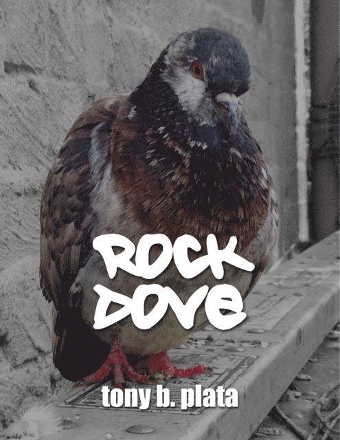 Tony B. Plata - Rock Dove, E-bok