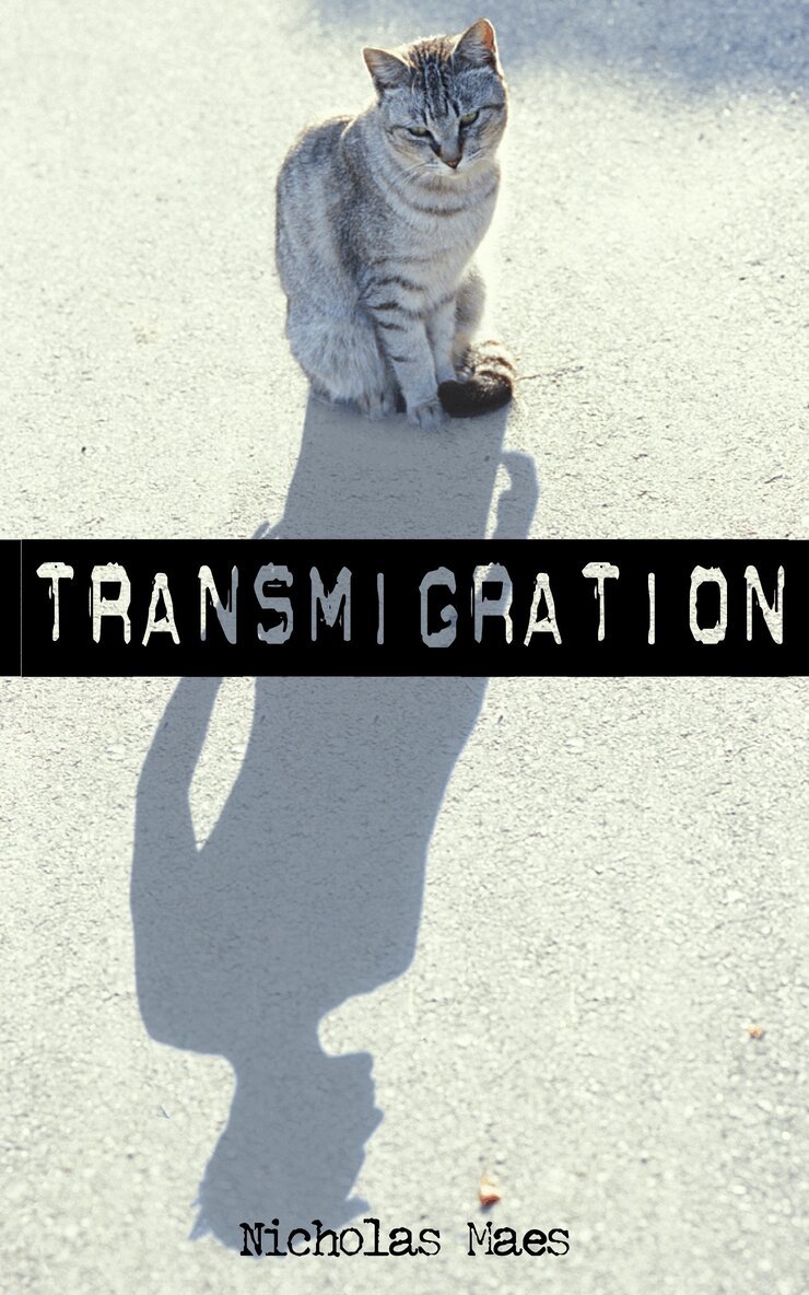 Nicholas Maes - Transmigration, Häftad. Tillgänglighet: Lägg i varukorg