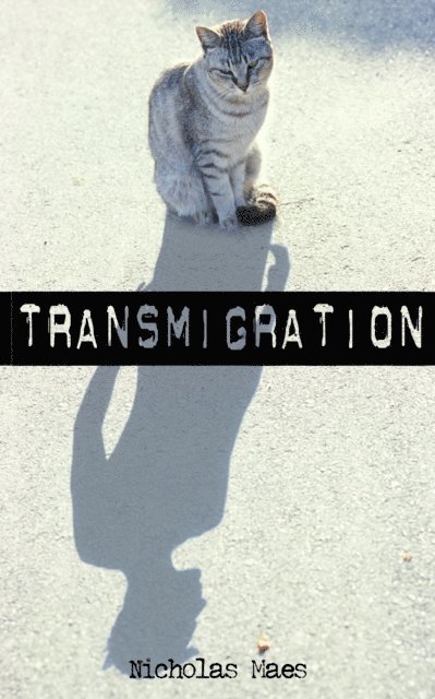 Nicholas Maes - Transmigration, E-bok. Tillgänglighet: Lägg i varukorg