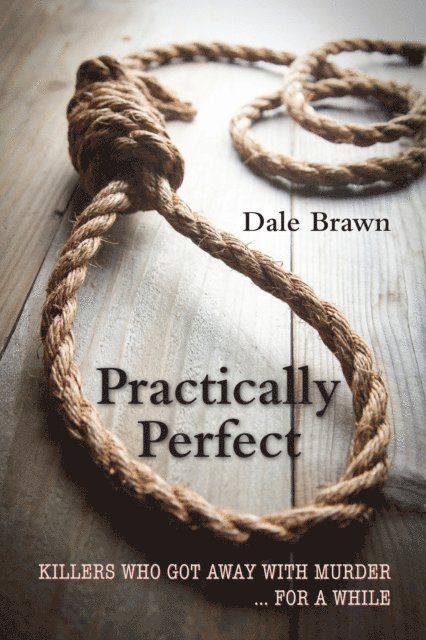 Dale Brawn - Practically Perfect, E-bok