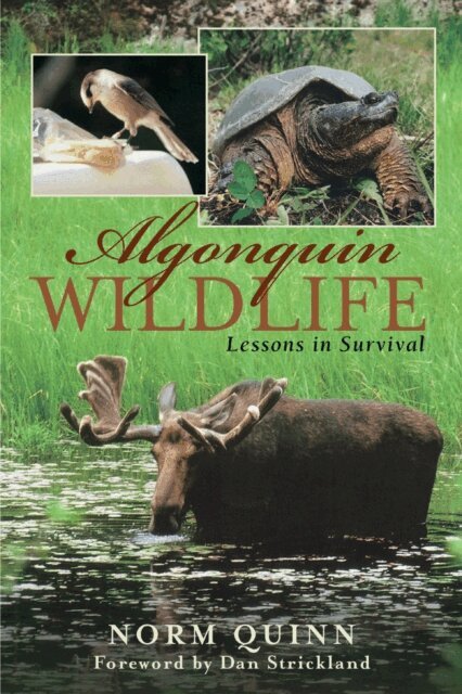 Norm Quinn - Algonquin Wildlife, E-bok. Tillgänglighet: Lägg i varukorg