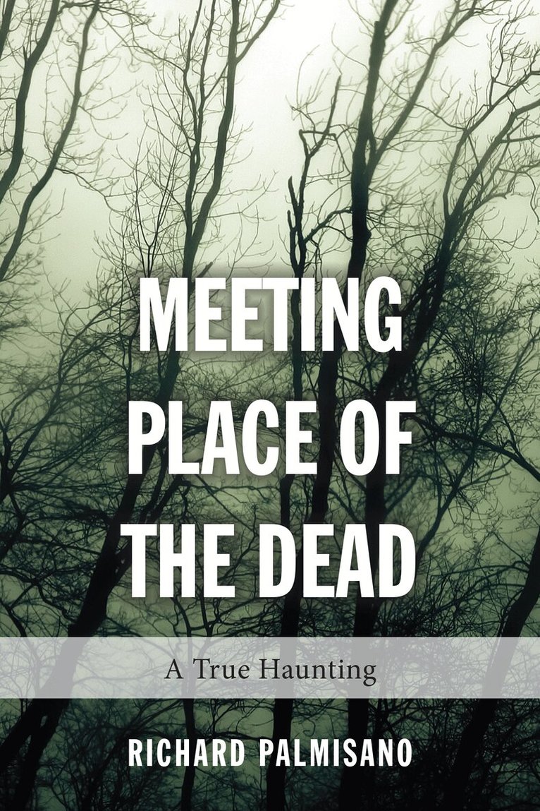 Richard Palmisano - Meeting Place of the Dead, Häftad. Tillgänglighet: Lägg i varukorg