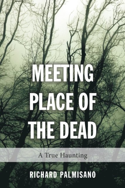 Richard Palmisano - Meeting Place of the Dead, E-bok. Tillgänglighet: Lägg i varukorg