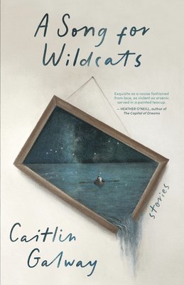 Caitlin Galway - A Song for Wildcats, Häftad