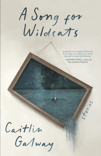 Caitlin Galway - Song for Wildcats, E-bok