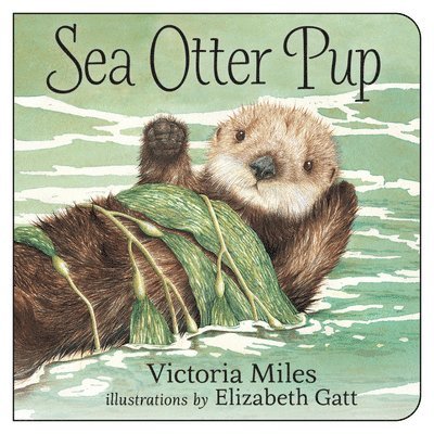 Victoria Miles - Sea Otter Pup, Kartonnage. Tillgänglighet: Tillfälligt slut