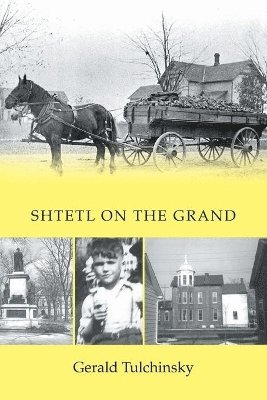 Gerald Tulchinsky - Shtetl on the Grand, Häftad
