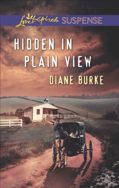 Diane Burke - Hidden in Plain View, E-bok