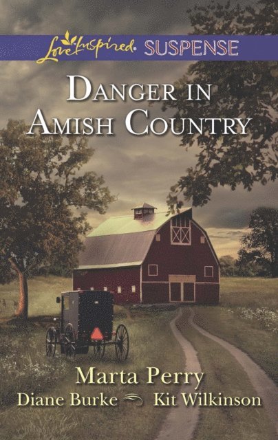 Kit Wilkinson, Diana Burke, Marta Perry - Danger in Amish Country, E-bok