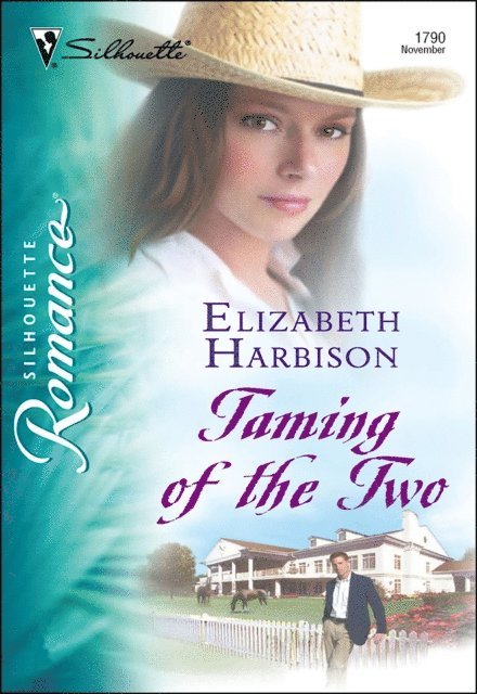 Elizabeth Harbison - Taming of the Two, E-bok