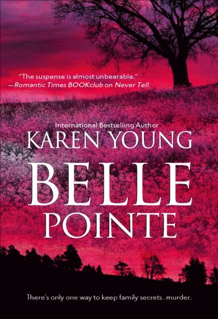 Karen Young - Belle Pointe, E-bok