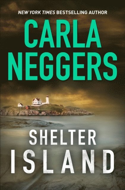 Carla Neggers - Shelter Island, E-bok