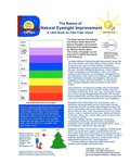 Basics of Natural Eyesight Improvement - A Little Book for Fast, Clear Vision