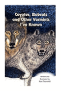Coyotes, Bobcats and Other Varmints I've Known