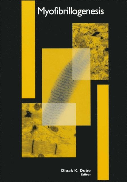 Dipak K. Dube - Myofibrillogenesis, E-bok