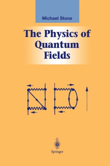 Michael Stone - Physics of Quantum Fields, E-bok
