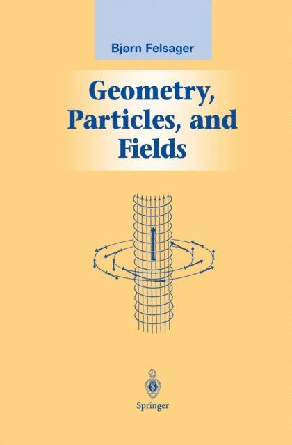 Bjoern Felsager - Geometry, Particles, and Fields, E-bok