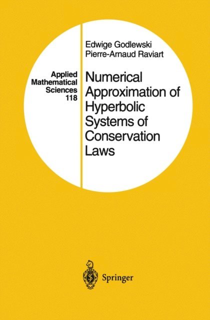 Pierre-Arnaud Raviart, Edwige Godlewski - Numerical Approximation of Hyperbolic Systems of Conservation Laws, E-bok