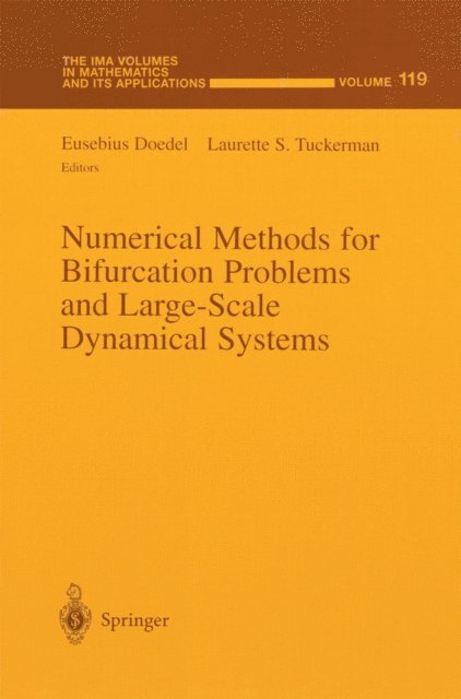 Laurette S. Tuckerman, Eusebius Doedel - Numerical Methods for Bifurcation Problems and Large-Scale Dynamical Systems, E-bok