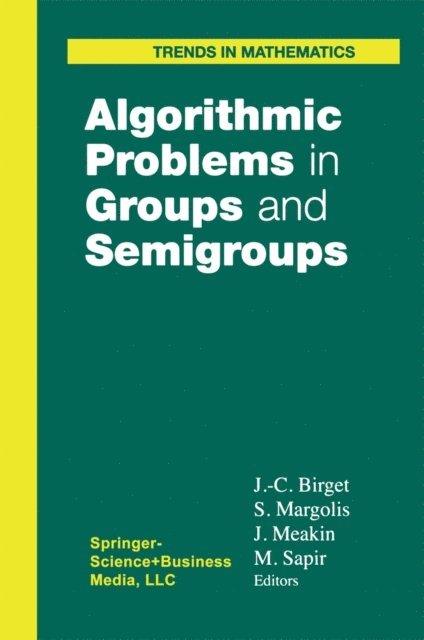 Mark V. Sapir, John Meakin, Stuart Margolis, Jean-Camille Birget - Algorithmic Problems in Groups and Semigroups, E-bok