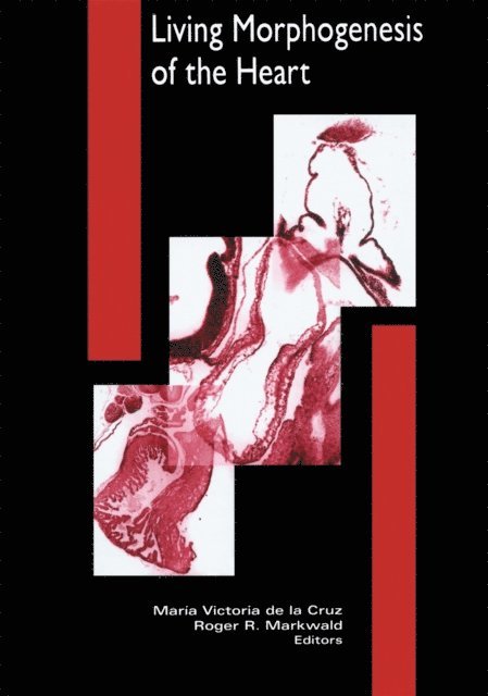 Maria De la Cruz, Roger Markwald - Living Morphogenesis of the Heart, E-bok